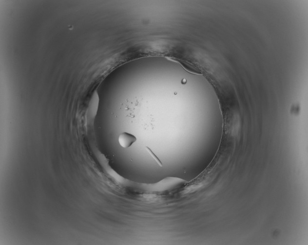 X0000097660425200802291431