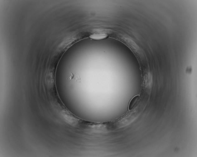 X0000097660426200802291431