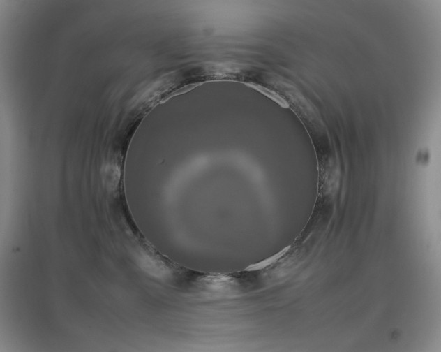 X0000097660427200802291431