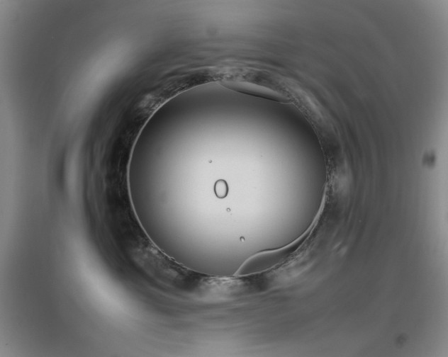 X0000097660429200802291431