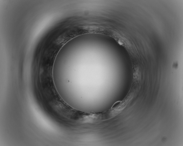 X0000097660430200802291431