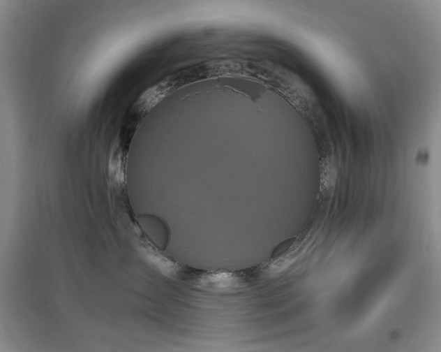 X0000097660431200802291431