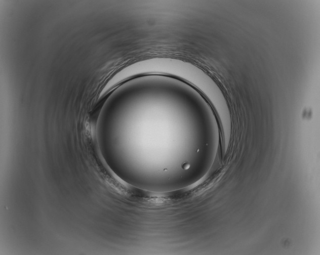 X0000097660432200802291431