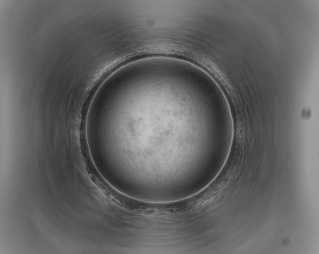 X0000097660434200802291430