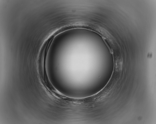 X0000097660436200802291430