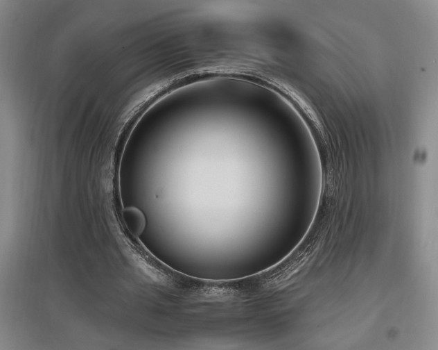 X0000097660437200802291430