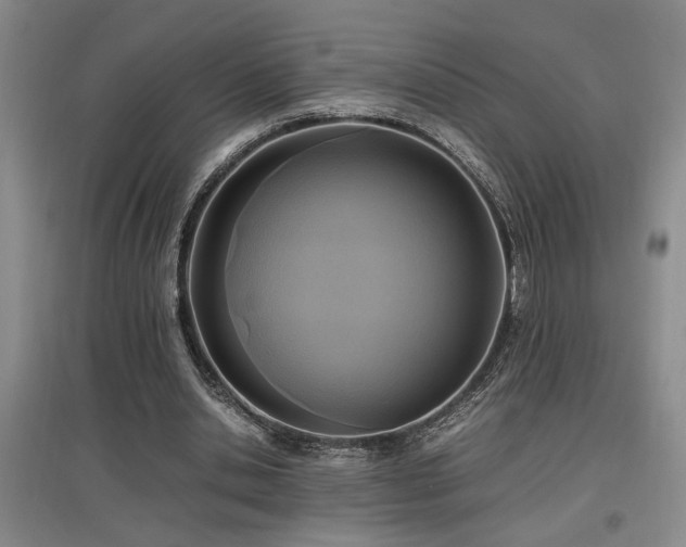 X0000097660438200802291430