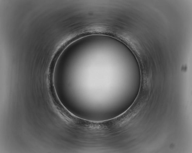 X0000097660439200802291430
