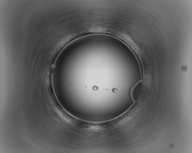 X0000097660441200802291430
