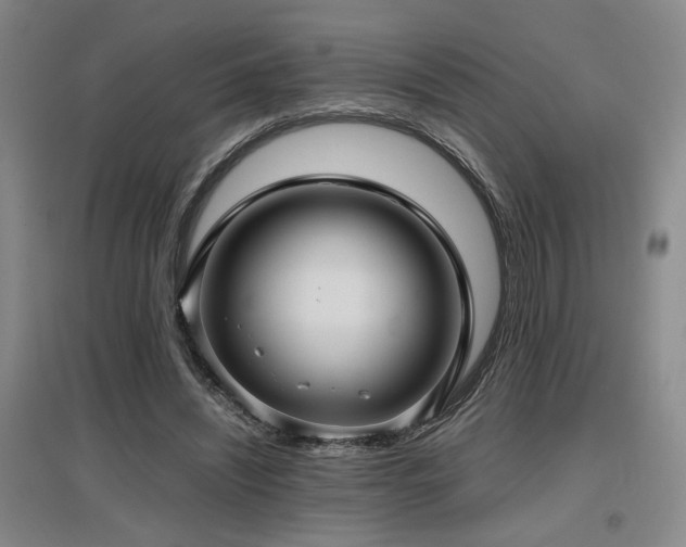 X0000097660444200802291430