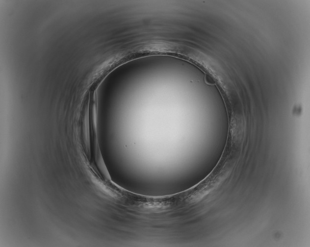 X0000097660445200802291430