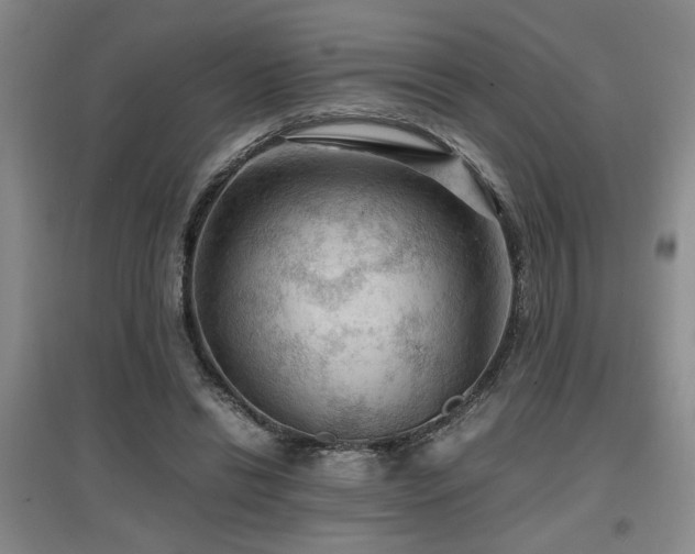 X0000097660446200802291430