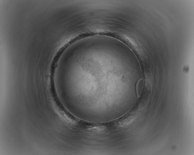 X0000097660447200802291430