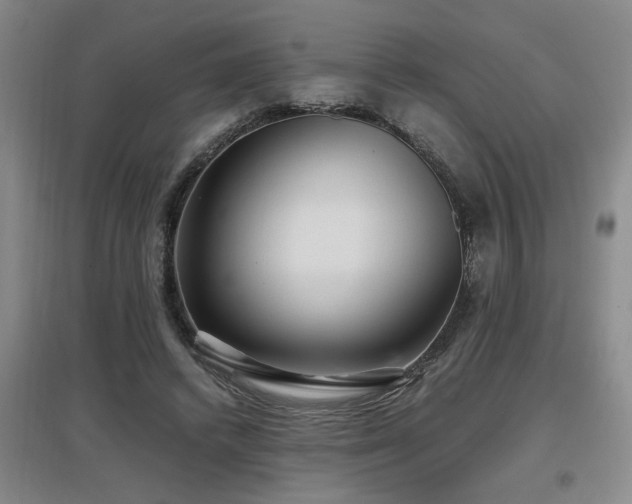 X0000097660448200802291430