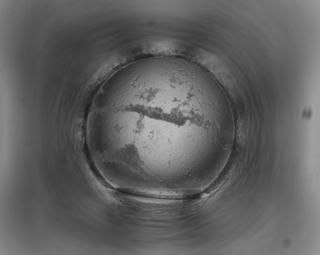 X0000097660449200802291430