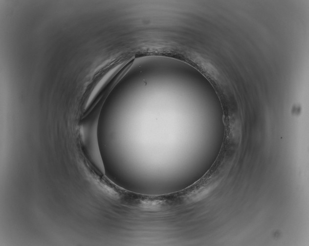 X0000097660450200802291430