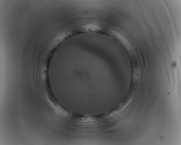 X0000097660451200802291430