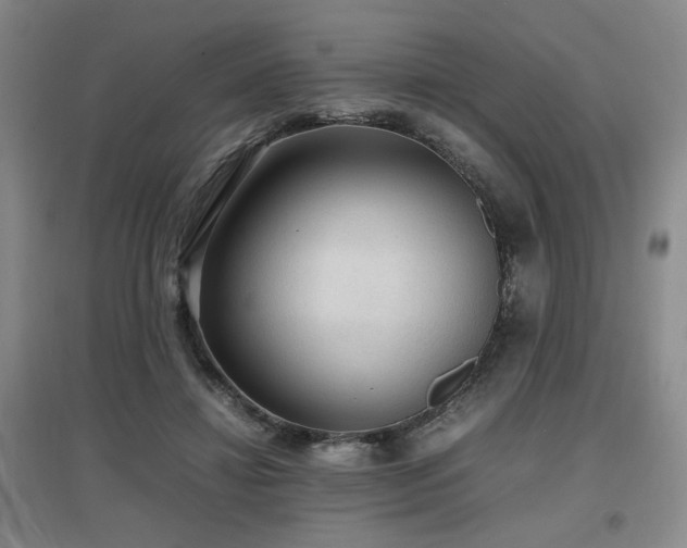 X0000097660452200802291430