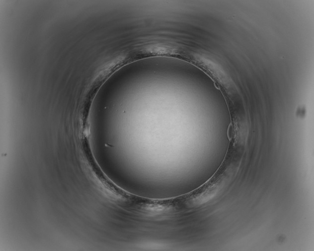 X0000097660453200802291430
