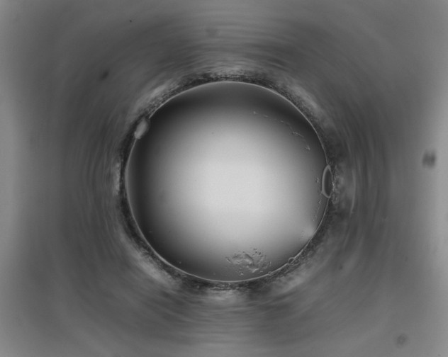 X0000097660454200802291430