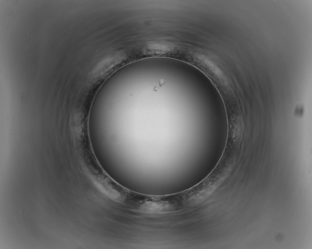 X0000097660455200802291430
