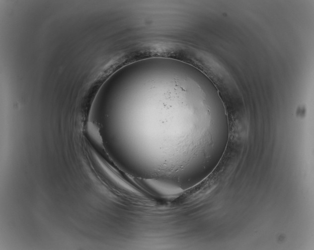 X0000097660456200802291430