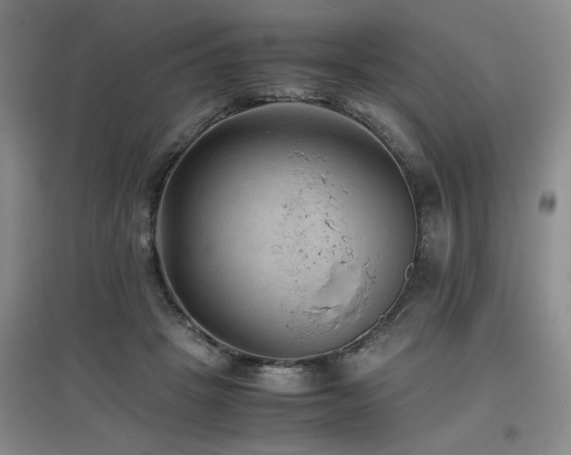 X0000097660457200802291430