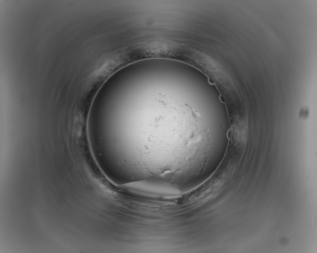 X0000097660458200802291430