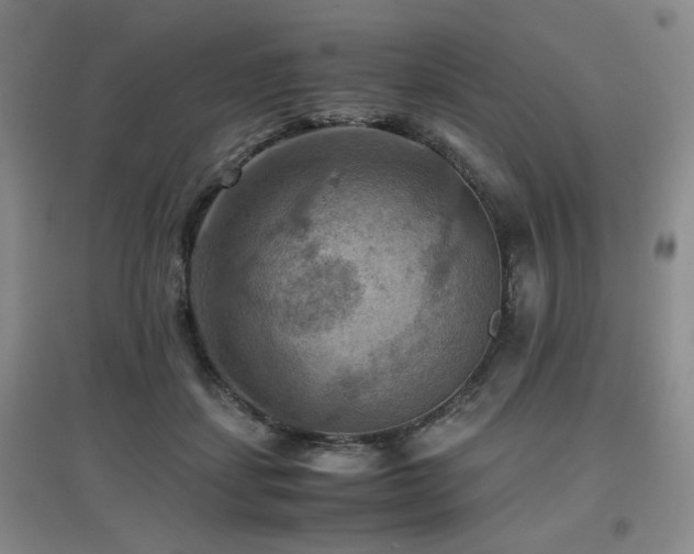 X0000097660459200802291430