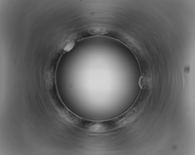 X0000097660460200802291430