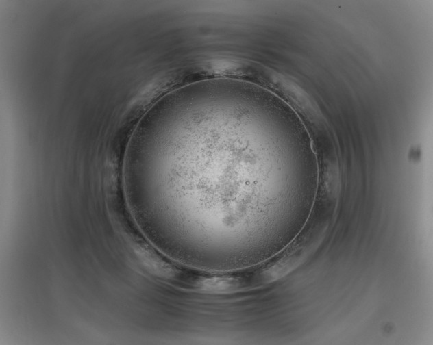 X0000097660461200802291431