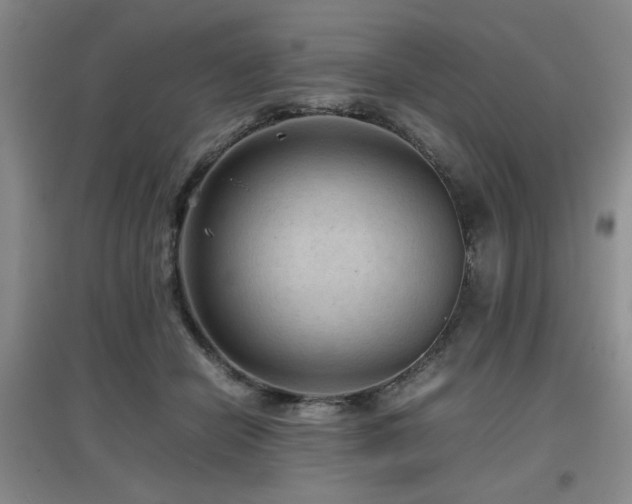 X0000097660462200802291431