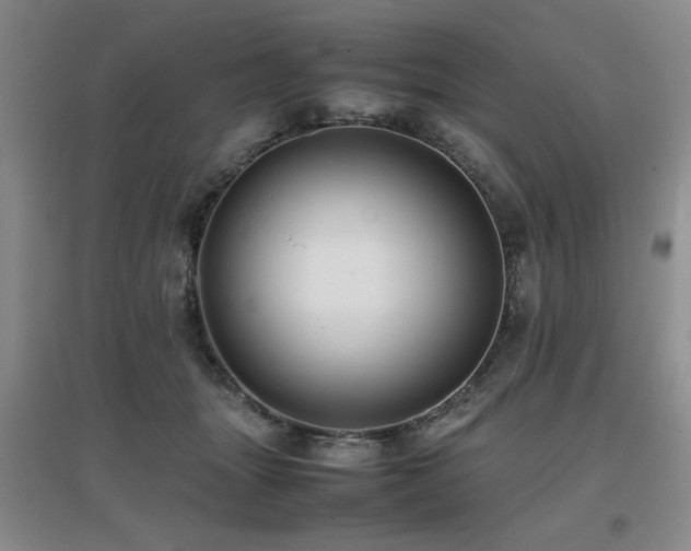 X0000097660463200802291431