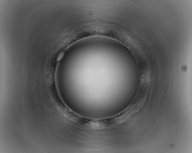 X0000097660464200802291431
