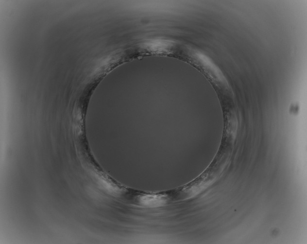 X0000097660465200802291431