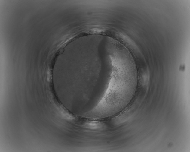 X0000097660467200802291431
