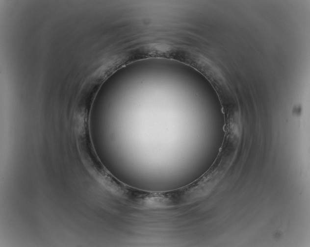 X0000097660468200802291431