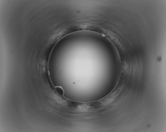 X0000097660470200802291431