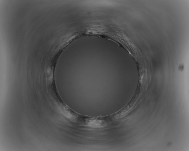 X0000097660471200802291431