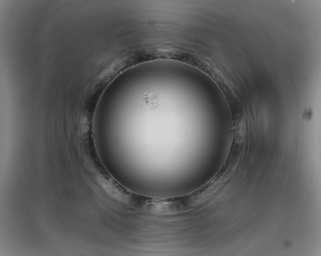 X0000097660472200802291431