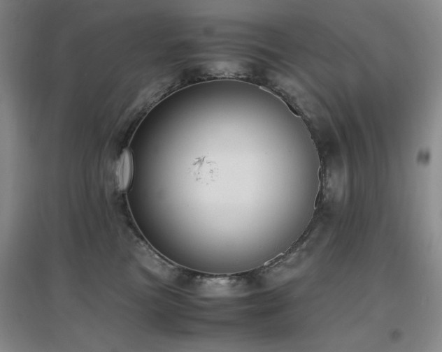 X0000097660473200802291431