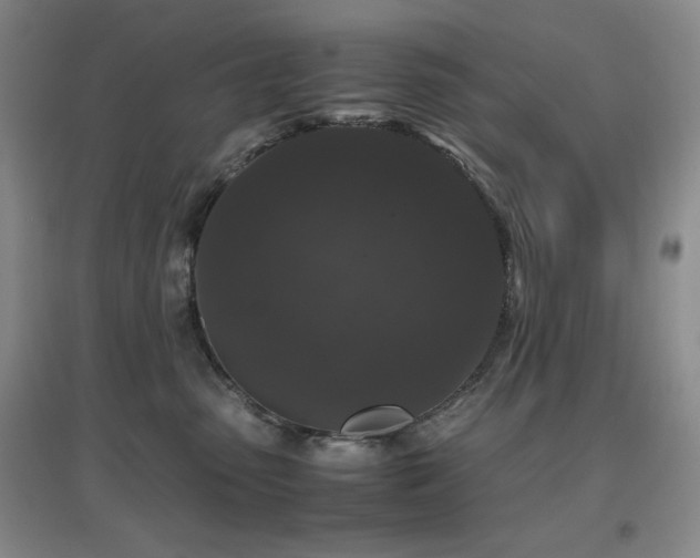 X0000097660475200802291431
