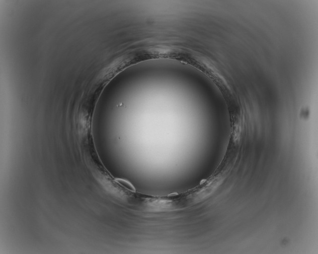 X0000097660476200802291431