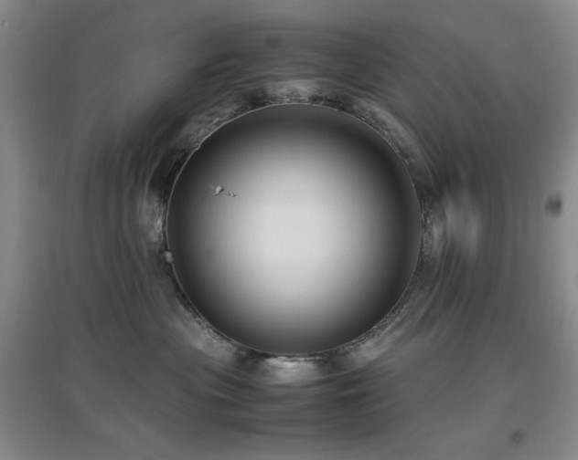 X0000097660477200802291431
