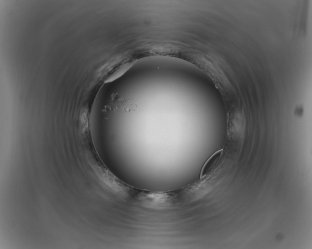 X0000097660478200802291431
