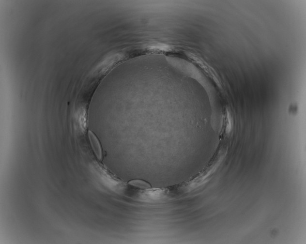 X0000097660479200802291431