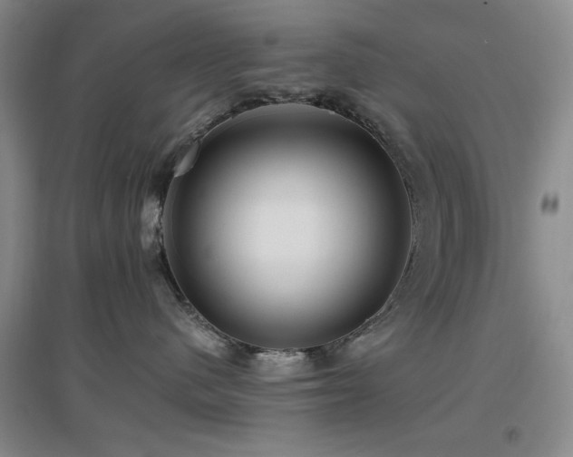 X0000097660480200802291431