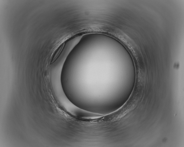 X0000097660481200802291430
