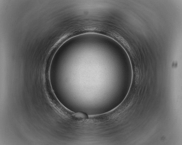 X0000097660482200802291430