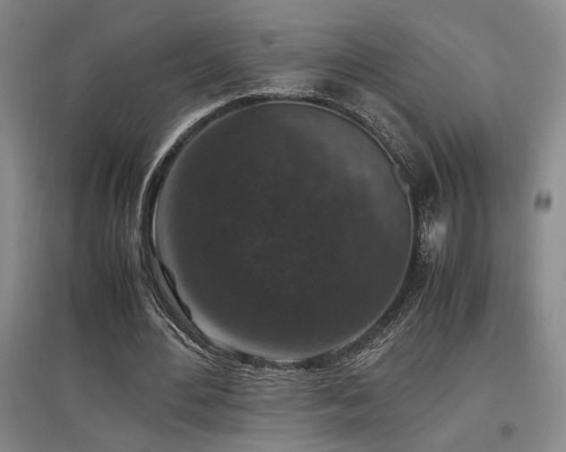 X0000097660484200802291430